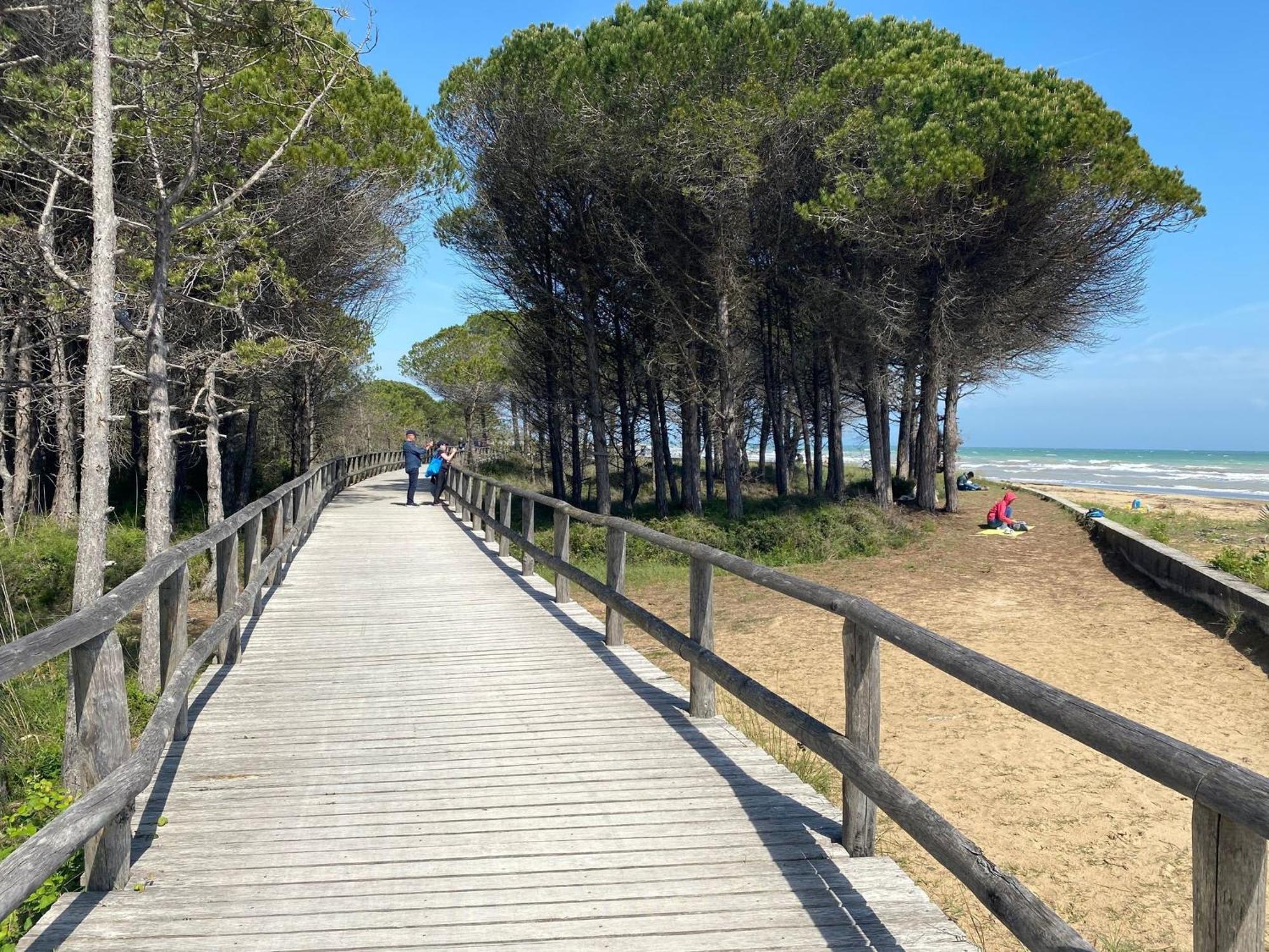 Comfortable With Parking Near The * Bibione